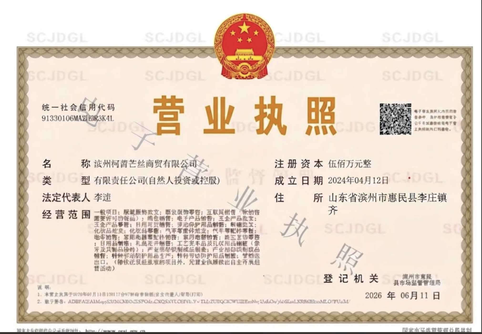 Company business license