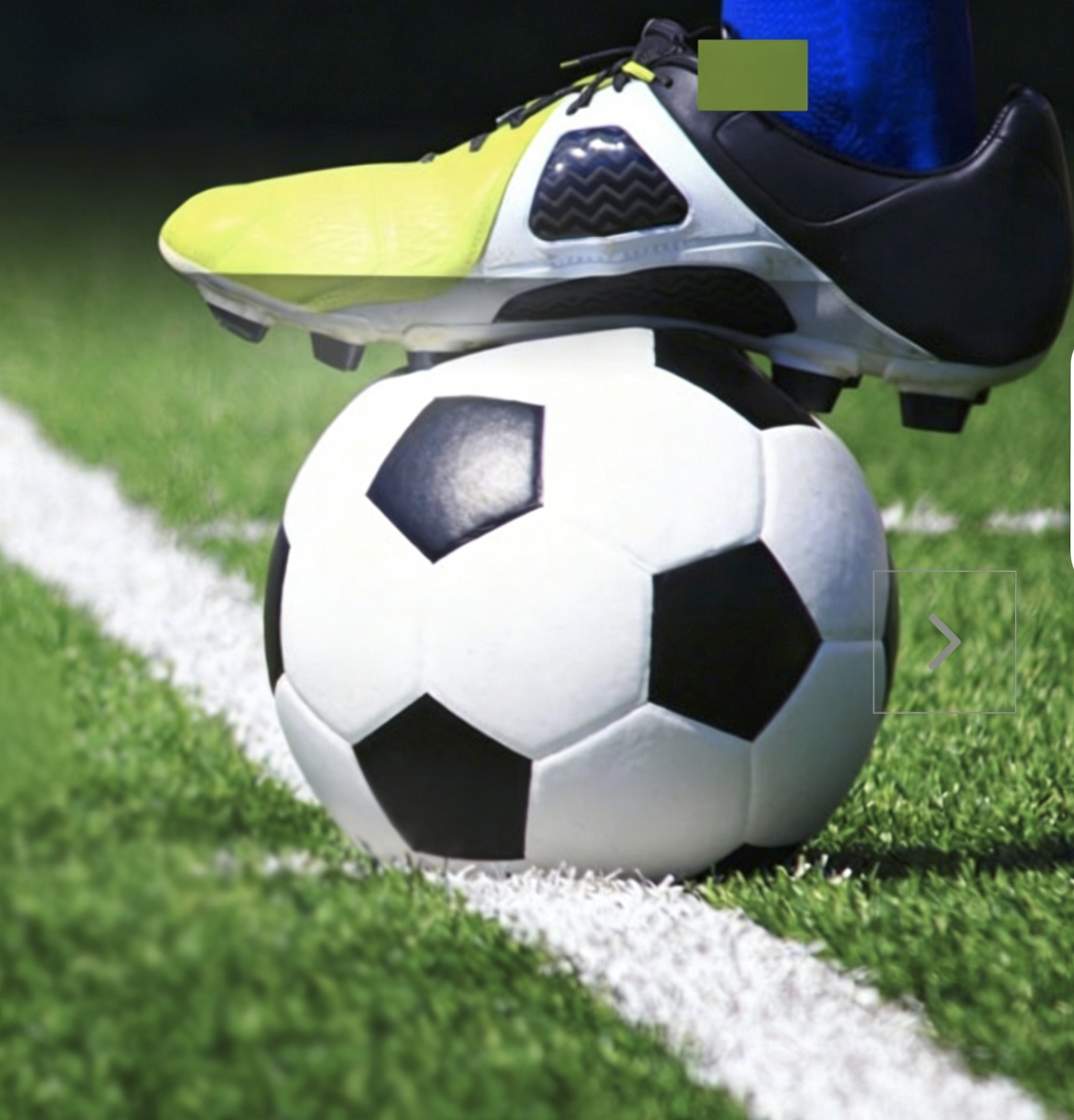 Artificial grass for sports and landscape projects